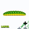 SPIINX LARVA 35MM 14P PEYNİR JAMAICA 72