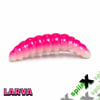 SPIINX LARVA 35MM 14P PEYNİR UV HOT PINK X GLOW 77