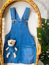 Teddy Kot Jile