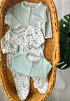 Uykucu Ayı 3'lü Patikli Tulum Set