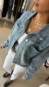 35096 KOT CEKET