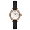 Emporio Armani AR11598 Kadın Kol Saati