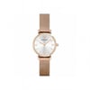 Emporio Armani AR1956 Bayan Kol Saati