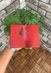 Guard Kırmızı Pasaport Kılıfı