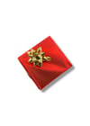PL-1154LA-A10 Kadın Kol Saati