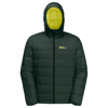 Jack Wolfskin 1207671_T0138 ATHER DOWN HOODY M Erkek Spor Mont Yeşil Sarı