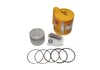 ACTİVA PİSTON SEKMAN 0.75 USHA