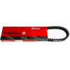 BWS 125 KAYIŞ TWOM