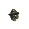 CF MOTO NK 250 TERMOSTAT E4-E5