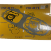 CYGNUS L CONTA TAKIM