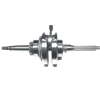 CYGNUS L KRANK