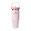 The IceFlow™ Flip Straw 2.0-