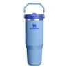 The IceFlow™ Flip Straw 2.0-