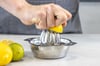 MasterClass MCCITRUS Paslanmaz Çelik Limon Sıkacağı
