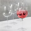 Mikasa 5234309 Julie 4lü 665ml Cin Kadehleri ​​Seti