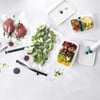 ZWILLING 368150170 FRESH & SAVE VAKUMLU BAŞLANGIÇ SETİ PLASTİK, 8-ADET