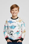 Sıfır Yaka Dinazor Desenli Erkek Çocuk Sweatshirt