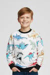 Sıfır Yaka Dinazor Desenli Erkek Çocuk Sweatshirt