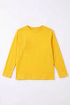 Unisex Çocuk 4'lü Basic Düz Renk Uzun Kollu Sweatshirt