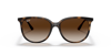 Ray-Ban güneş gözlüğü