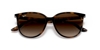 Ray-Ban güneş gözlüğü