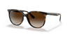 Ray-Ban güneş gözlüğü