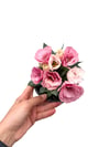 Lisyantus Çiçeği Pembe Eustoma