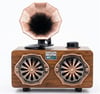 Everton Rt-744  Bluetooth Fm-Usb-Tf-Aux  Şarjlı Nostaljik Radyo