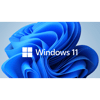 Microsoft Windows 11 Pro FQC-10556 64 Bit (OEM) Türkçe