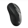 RAPOO V300SE Kablolu/Kablosuz 400-12000 Siyah Mouse 12401