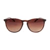 igor  SS230 Mou 610 Brown STD Gözlük