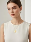 Çelik Kolye (Gold) 0107120