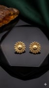 Çelik Küpe (Gold) Kp647