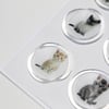 Mühürcüm 12 Adet Hazır Kendinden Yapışkanlı Kedi Sticker Mühür KYSM115