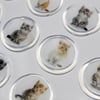 Mühürcüm 12 Adet Hazır Kendinden Yapışkanlı Kedi Sticker Mühür KYSM115