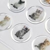 Mühürcüm 12 Adet Hazır Kendinden Yapışkanlı Kedi Sticker Mühür KYSM115
