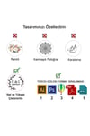 Soğuk Damga Kabartma Mühür Kişiye Özel Logo Tasarım Kutulu