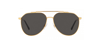 DOLCE&GABBANA_0DG2296 02/8758_Elegance