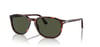 PERSOL_PO3019S 24/3152_Elegance