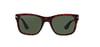 PERSOL_PO3135S5524/31_Elegance