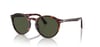 PERSOL_PO3171S 24/3152_Elegance