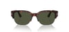 GÜNEŞ GÖZLÜĞÜ PERSOL PO3319S 24/3155