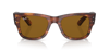Ray-Ban-0RB0840S 954/3351-Elegance