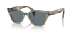 Ray-Ban-0RB0880S 66353R52-Elegance