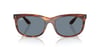 RAYBAN-RB2389 954/6257-Elegance