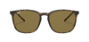 Ray-Ban-0RB4387 710/7356-Elegance