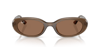 RAYBAN-RB4441D 67797353-Elegance