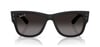 Ray-Ban-0RB4840S 601ST352-Elegance