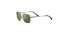 SERENGETİ_CARROLL LARGE GSG 598003_Elegance