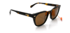 GÜNEŞ GÖZLÜĞÜ SUPERDRY SDS-5043-102